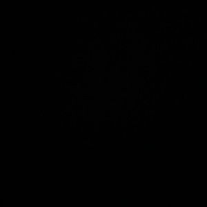 Meet your Posher, Alexa